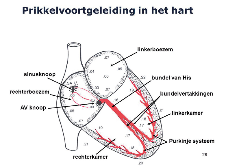 Hart3
