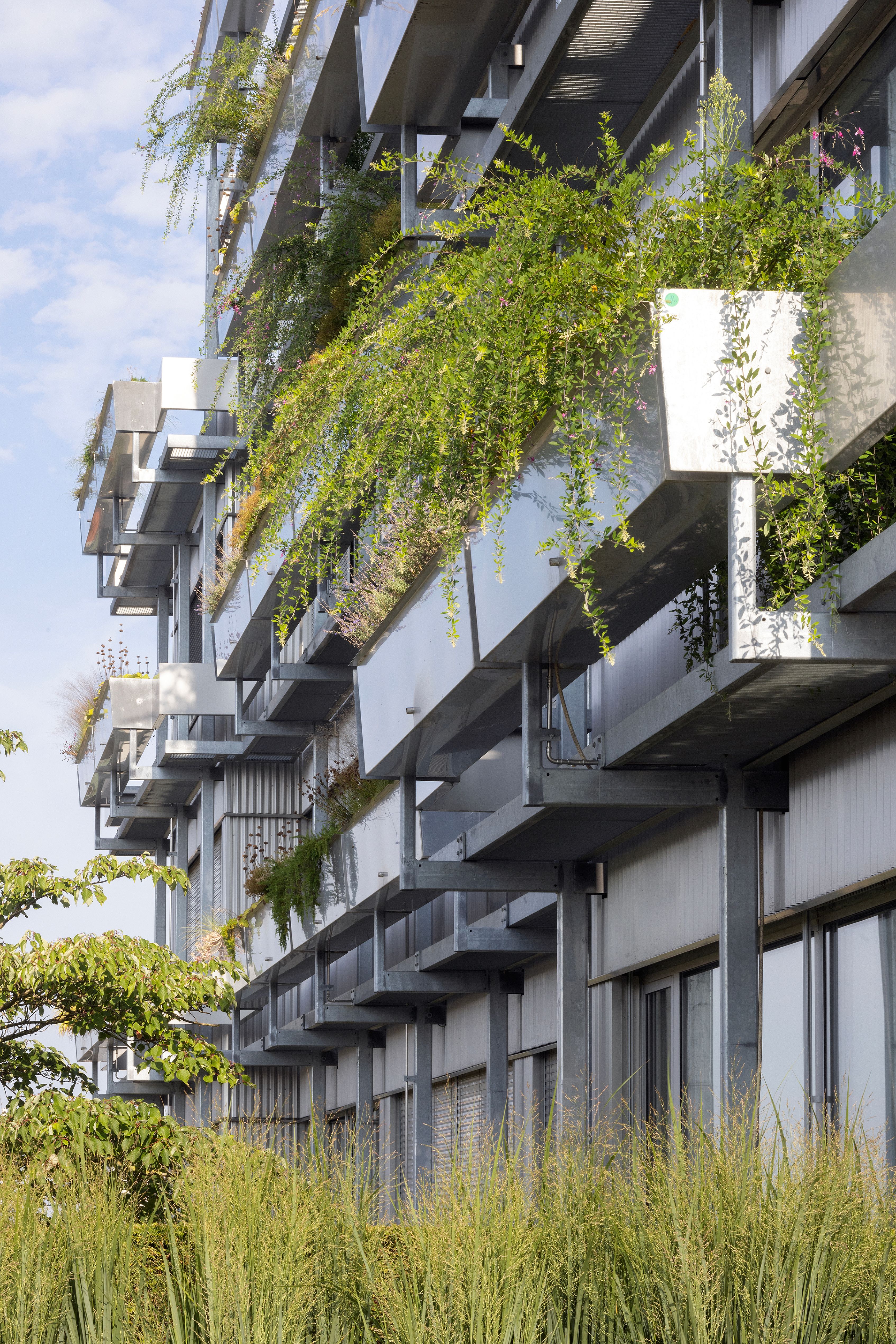 Office Building Buildwise4