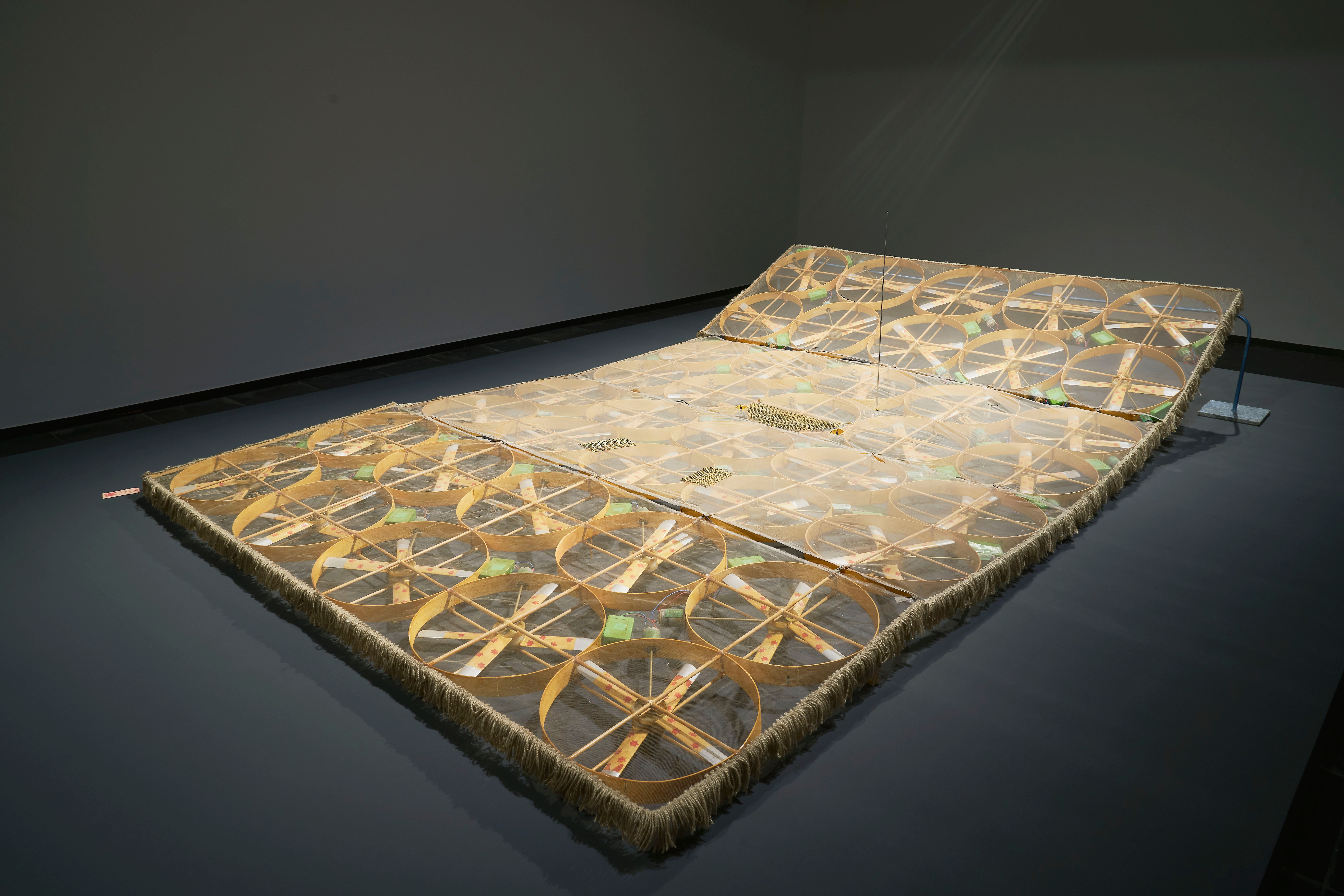 Flying Carpet 005