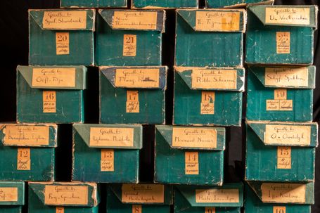 GGA Aanw 1037 dozen 001