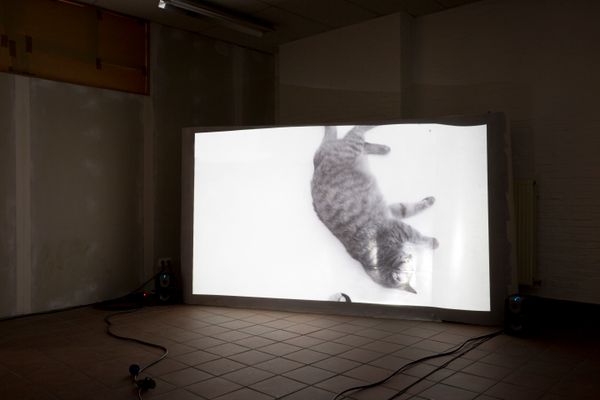 HISK Open Studios 2019, Che-Yu Hsu, Photo Laure Cottin Stefanelli