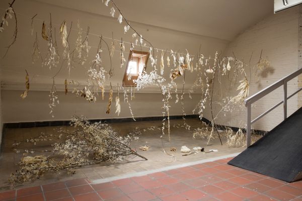 HISK Open Studios 2019, Luca Vanello, Photo Laure Cottin Stefanelli