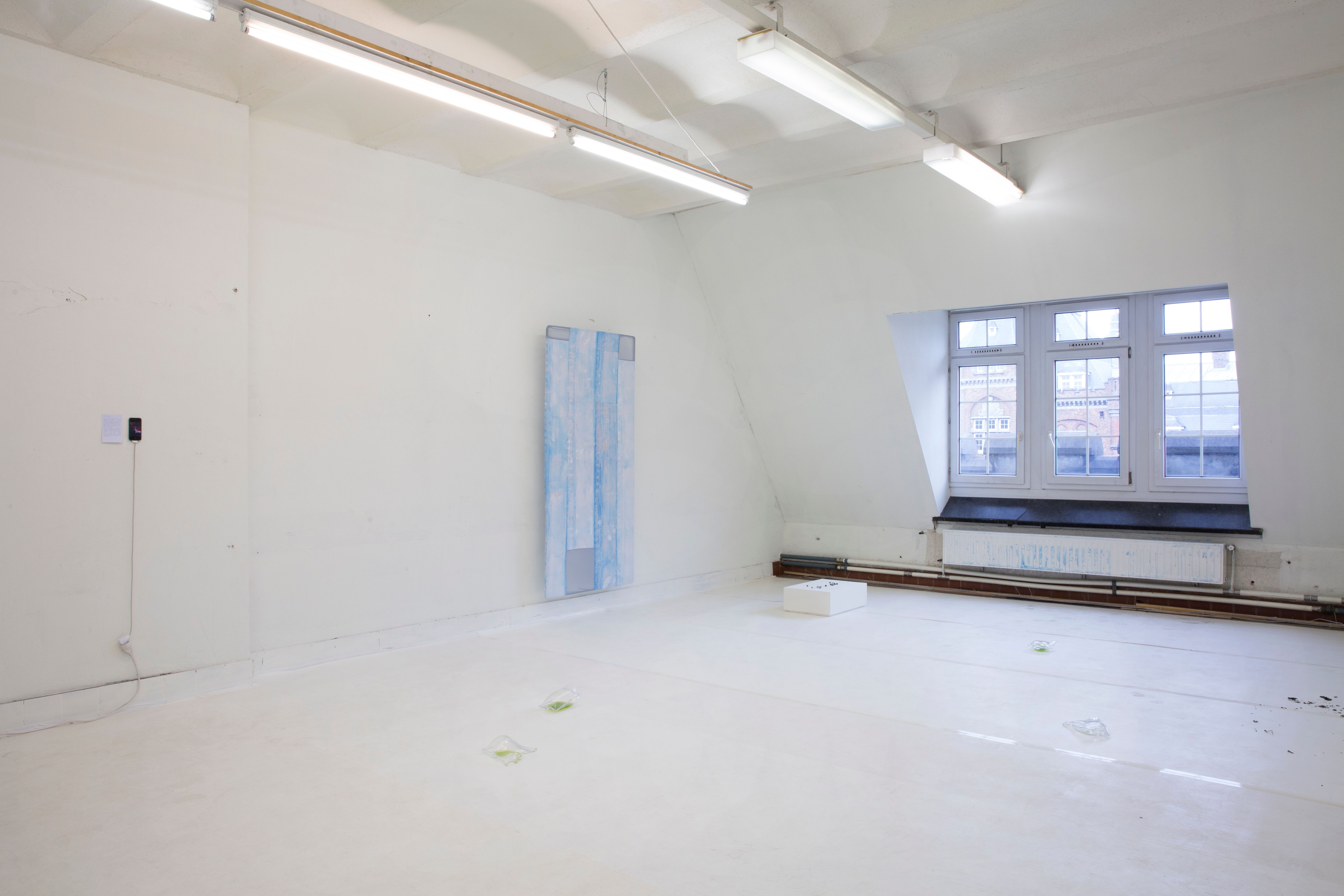HISK Open Studios 2019, Sina Hensel, Photo Laure Cottin Stefanelli