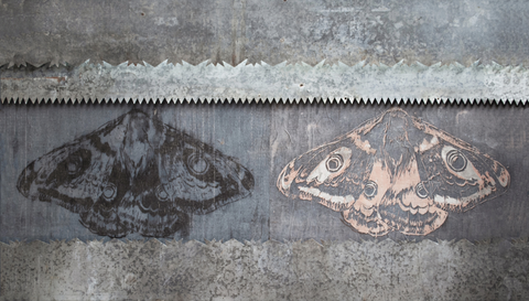 Caroline Coolen, entre chien et loup, 2021