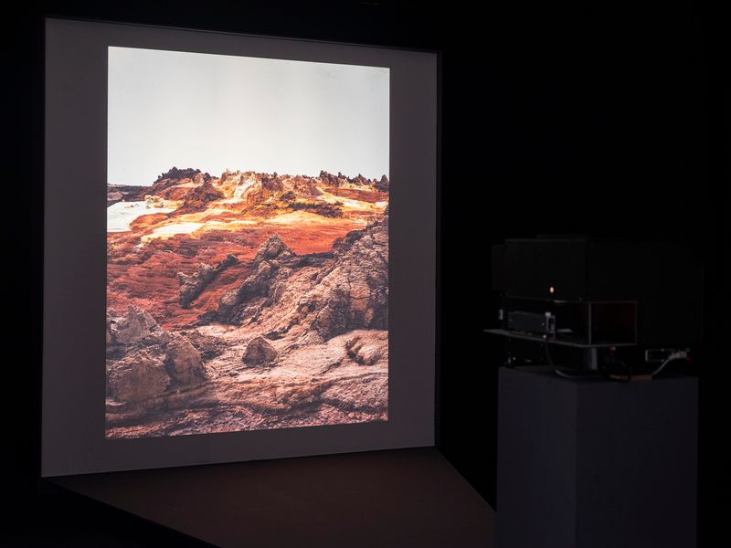 What's in an artwork. Exhibition view, Geert Goiris. Photo by Dani Gherca