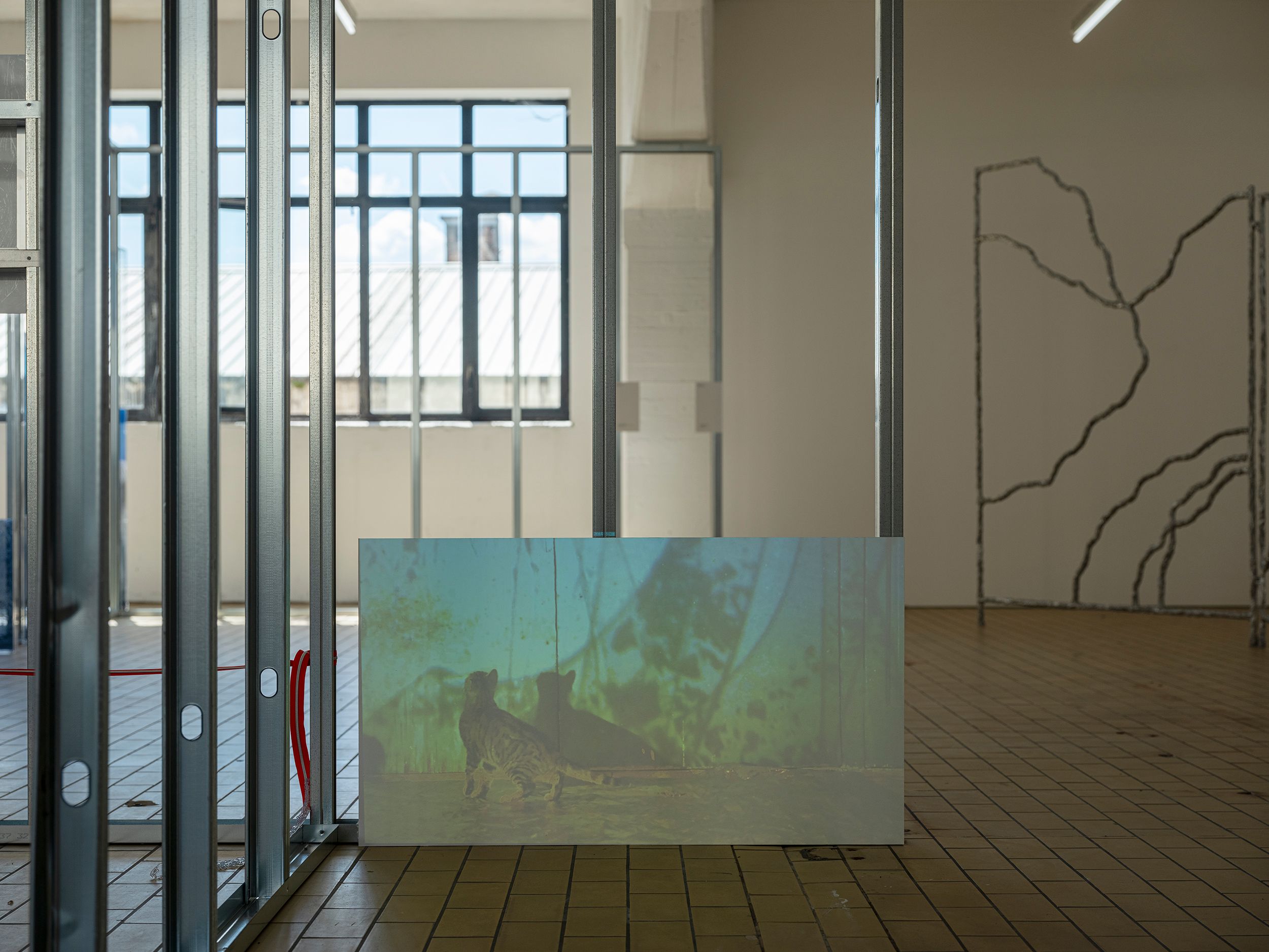 What's in an artwork. Exhibition view, Max Sudhues. Photo by Dani Gherca