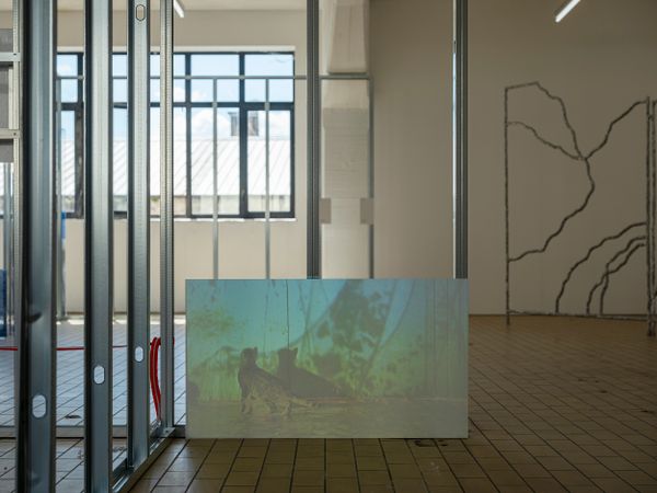 What's in an artwork. Exhibition view, Max Sudhues. Photo by Dani Gherca
