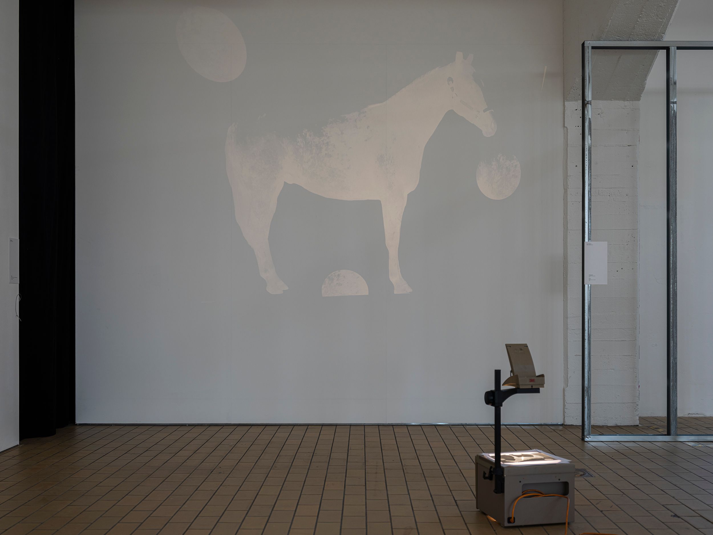 What's in an artwork. Exhibition view, Max Sudhues. Photo by Dani Gherca