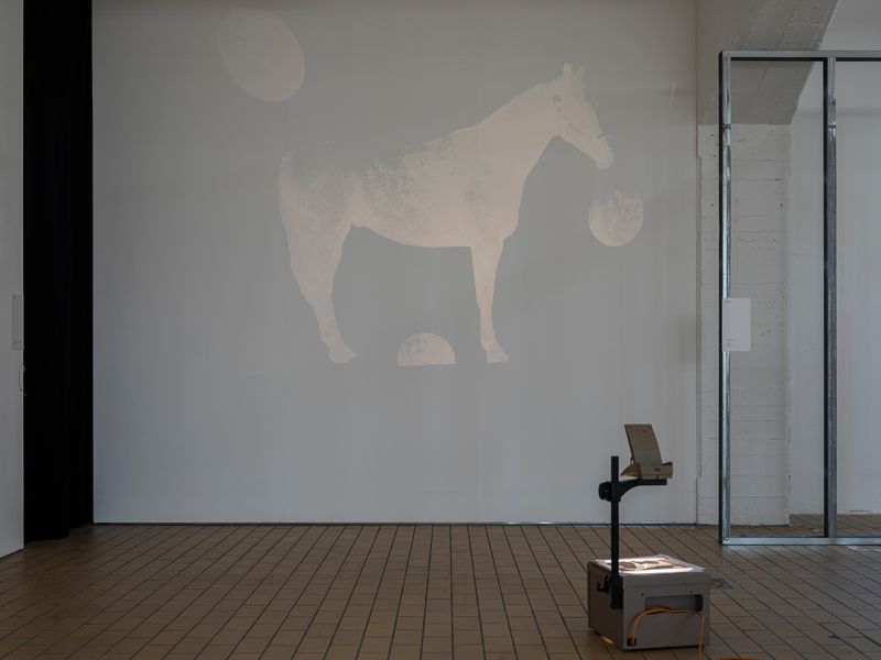 What's in an artwork. Exhibition view, Max Sudhues. Photo by Dani Gherca