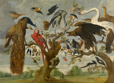 Paul de vos vogelconcert c foto hugo maertens collectie kmska vlaamse gemeenschap groot