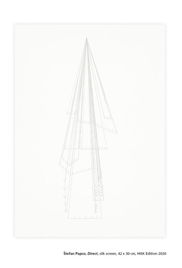 Štefan Papčo, Direct, silk screen, 42 x 30 cm, HISK Edition 2020
