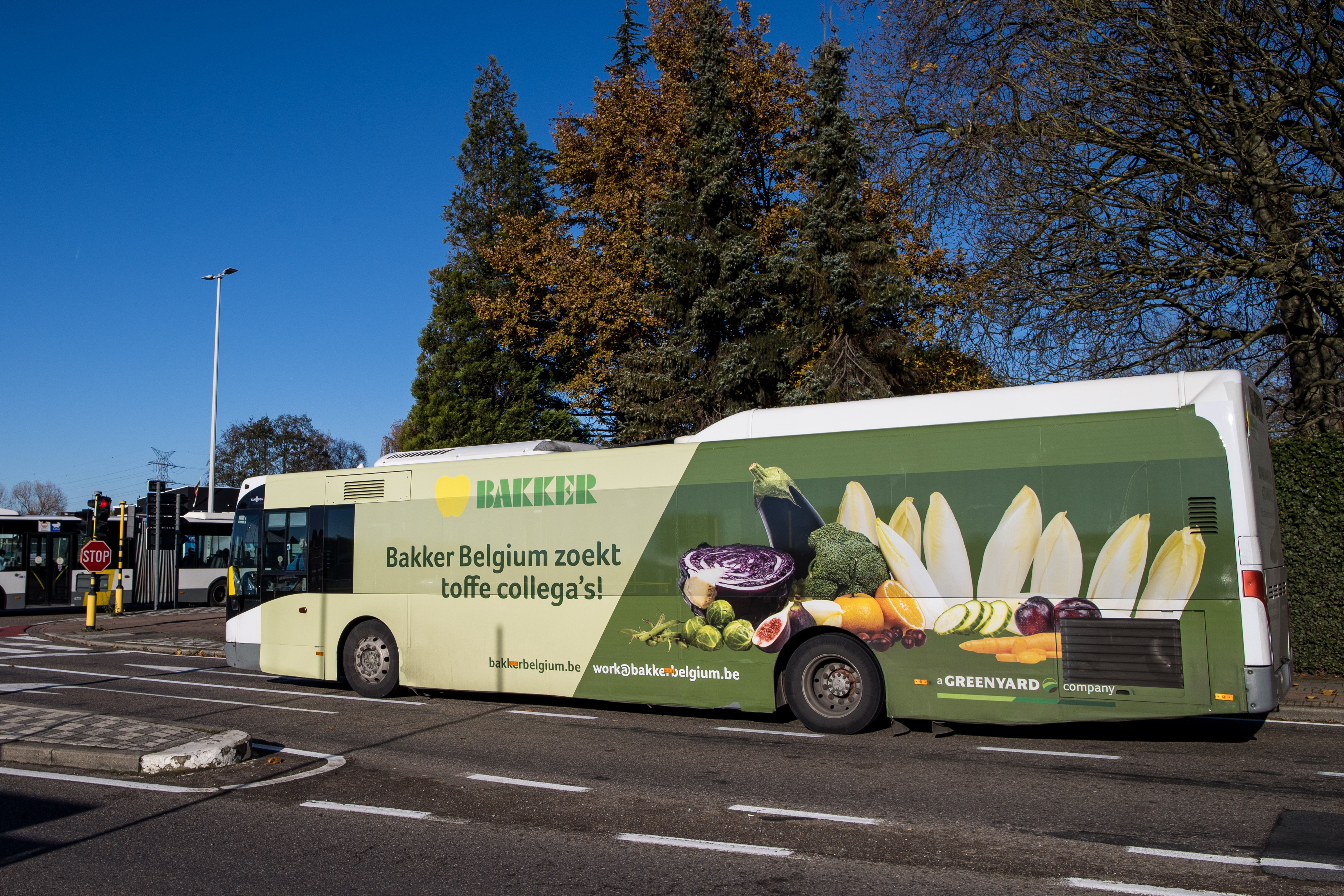 Full wrap - Bakker