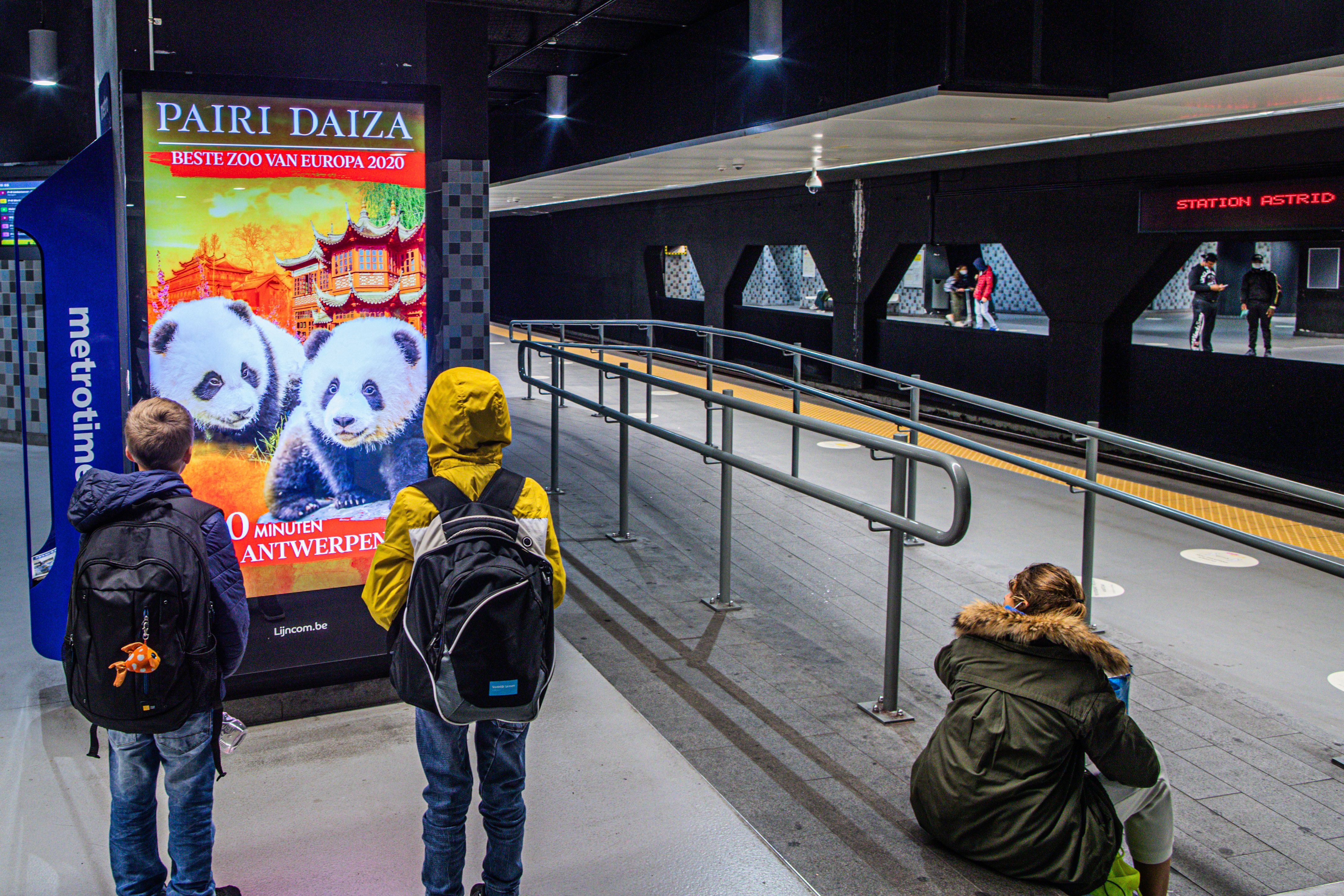 DOOH Pairi Daiza