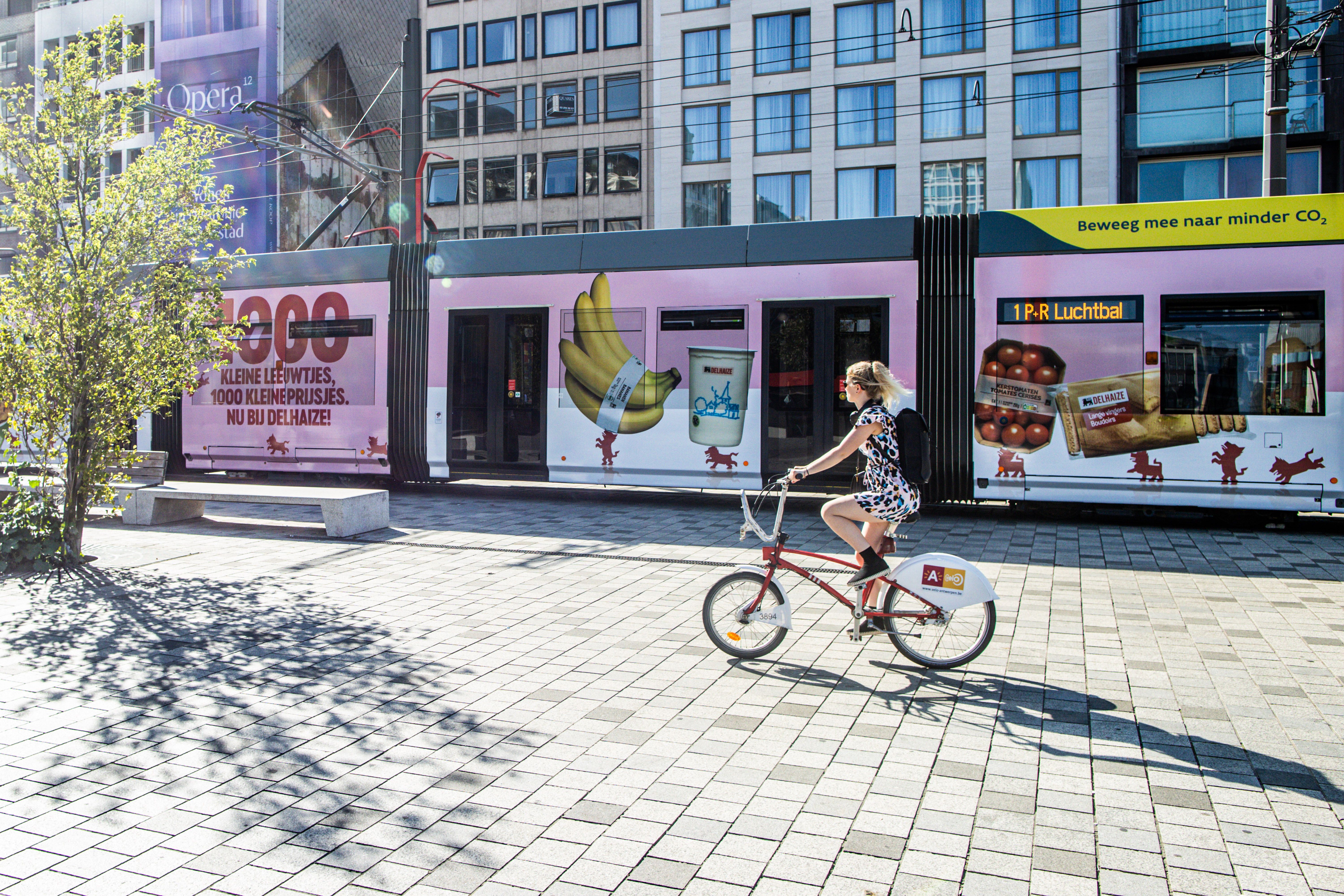 Full wrap - Delhaize