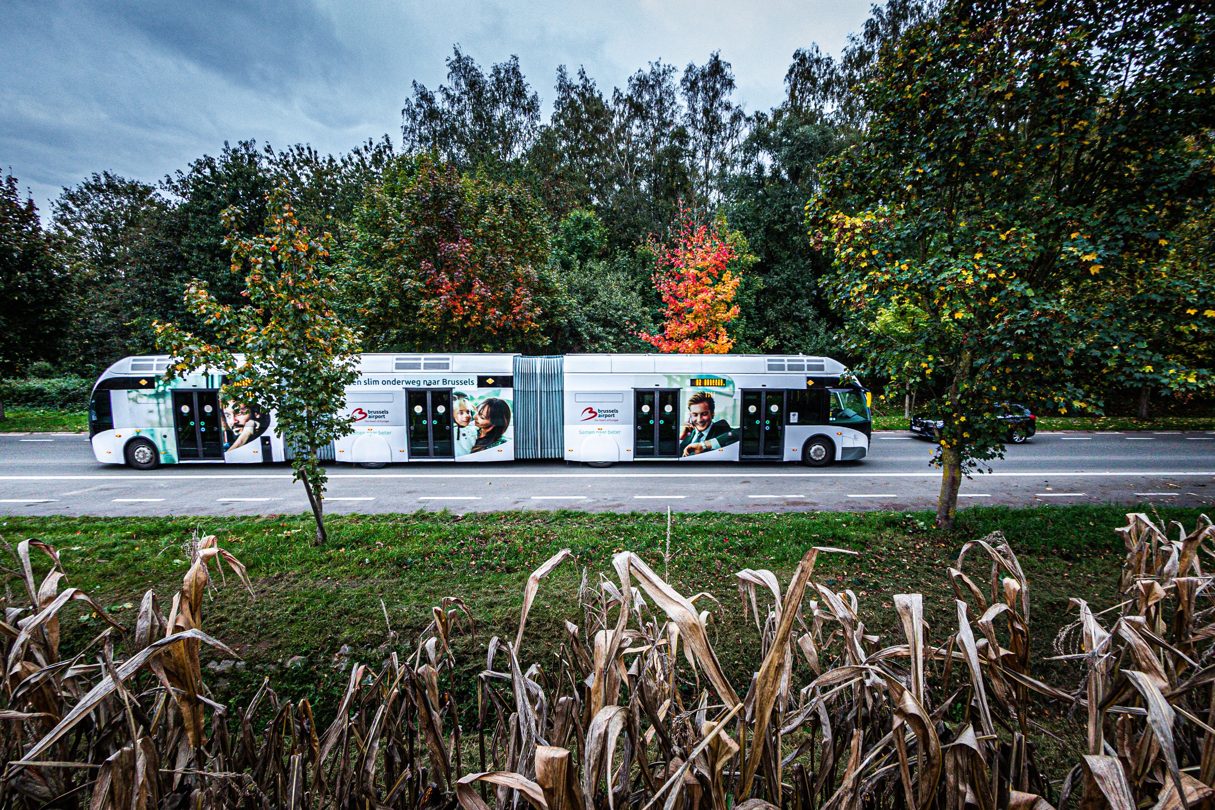 Full wrap - Brussels Airlines