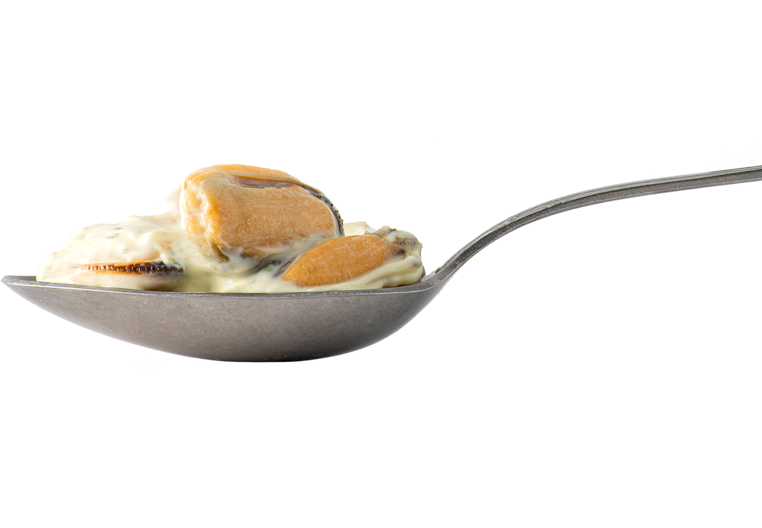 00133 00134 mosselen tartaar