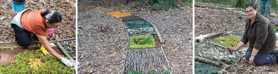 Natureart3