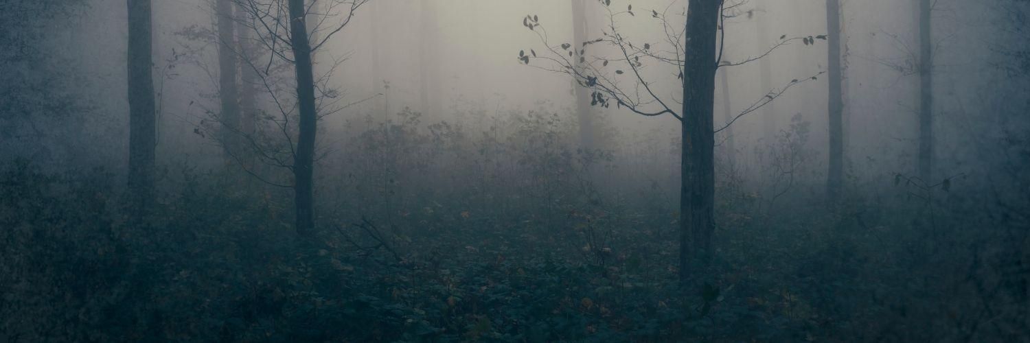 Rouw verlies en veerkracht - header