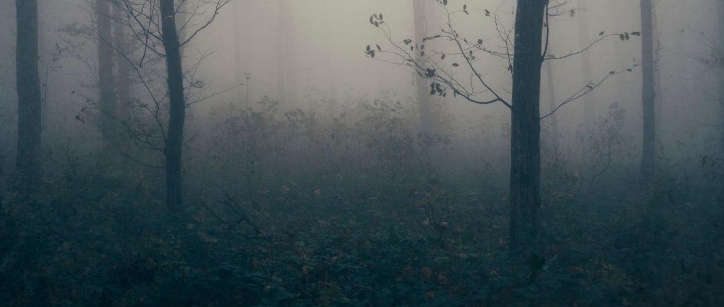 Rouw verlies en veerkracht - header