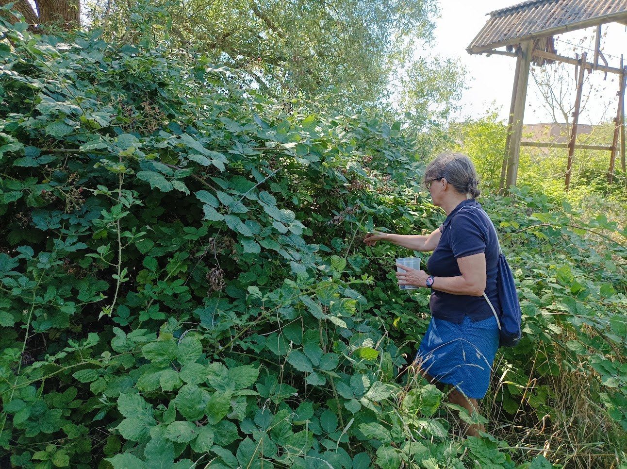 Voedselbos werknamiddag 5