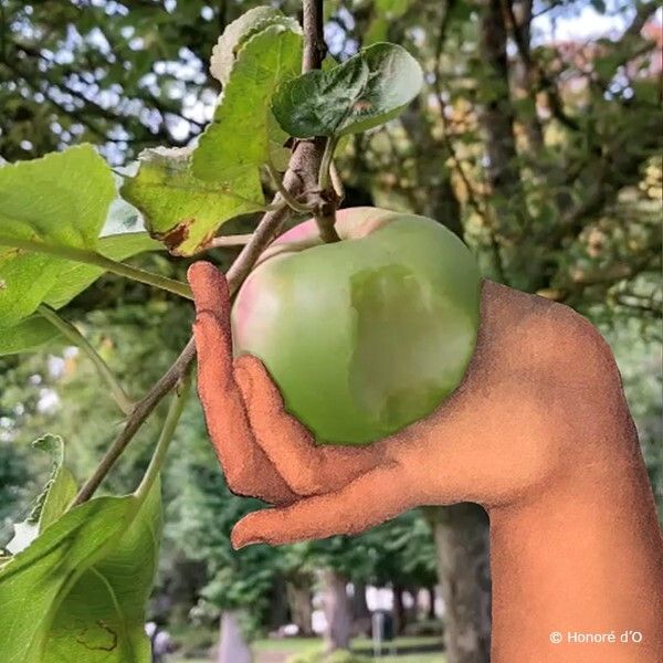 A Bite of Knowledge