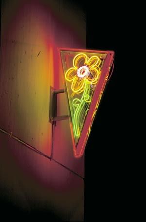 Neon Blume website