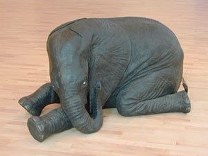 Holler elephant
