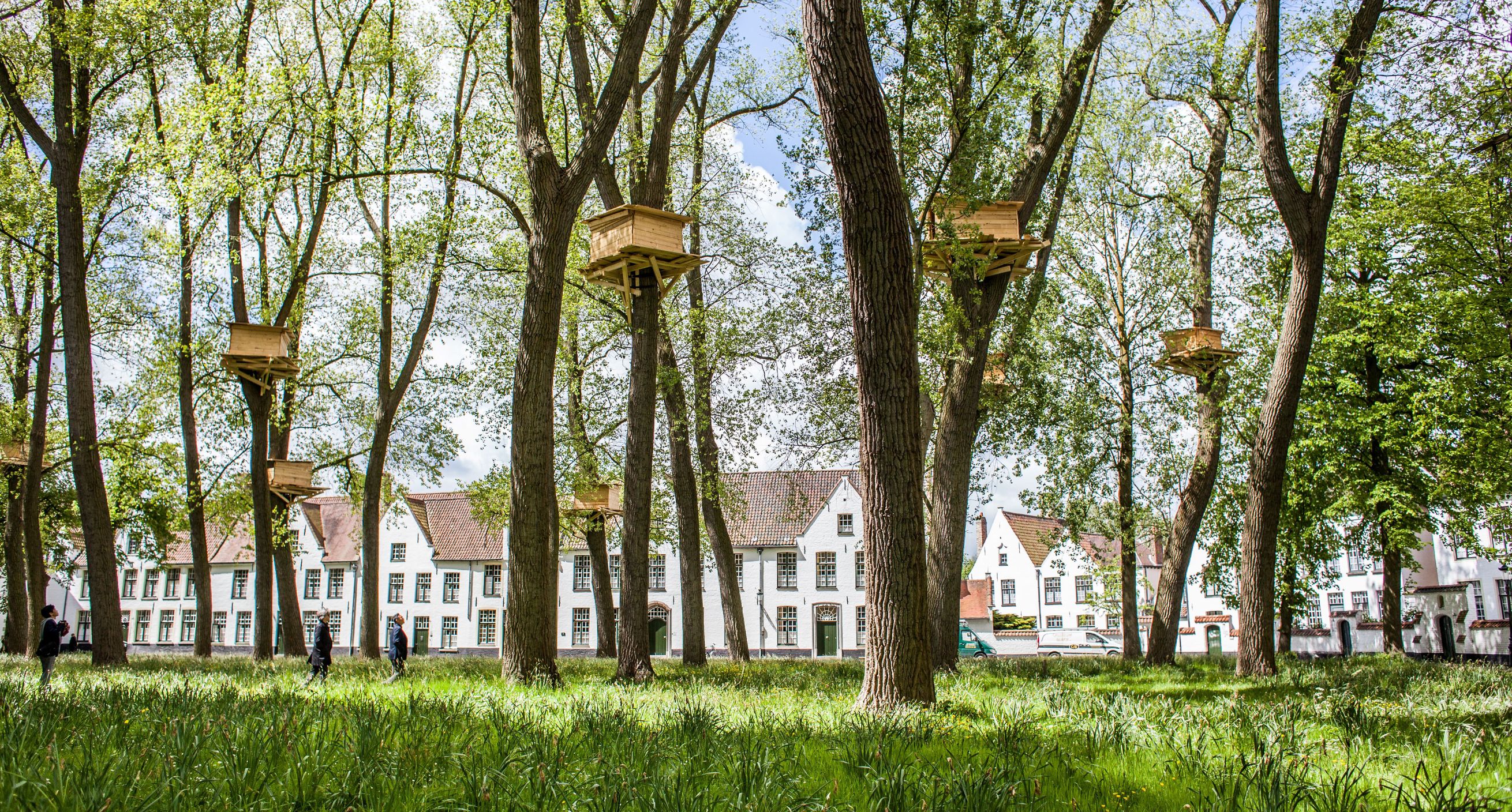 Triennale Brugge 2015 Tadashi Kawamata Tree Huts Jan D Hondt