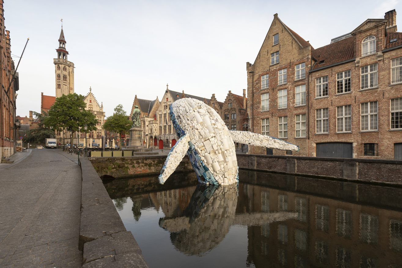 Skyscraper the bruges whale Matthias Desmet
