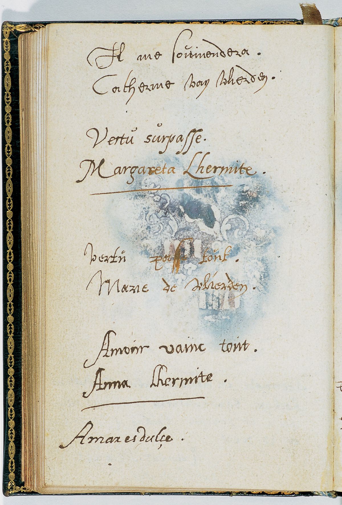 Folio 49 verso