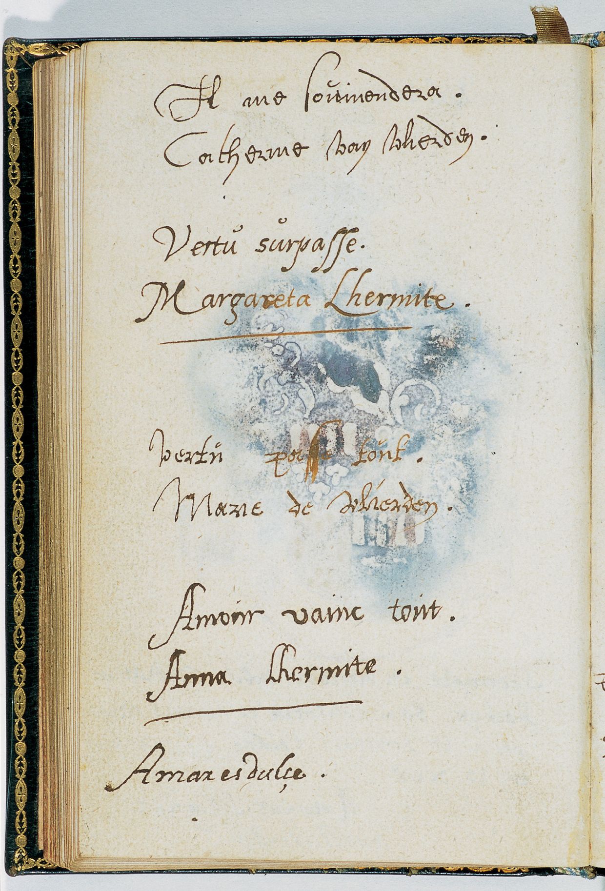 Folio 49 verso