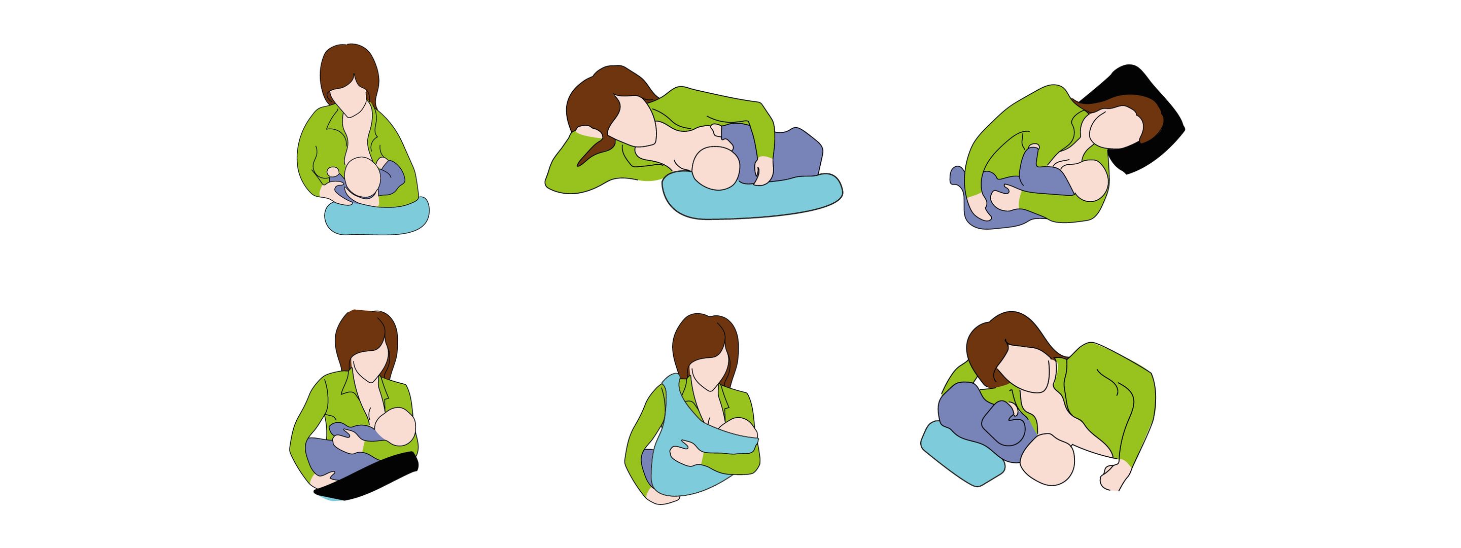 Borstvoeding aanleggen