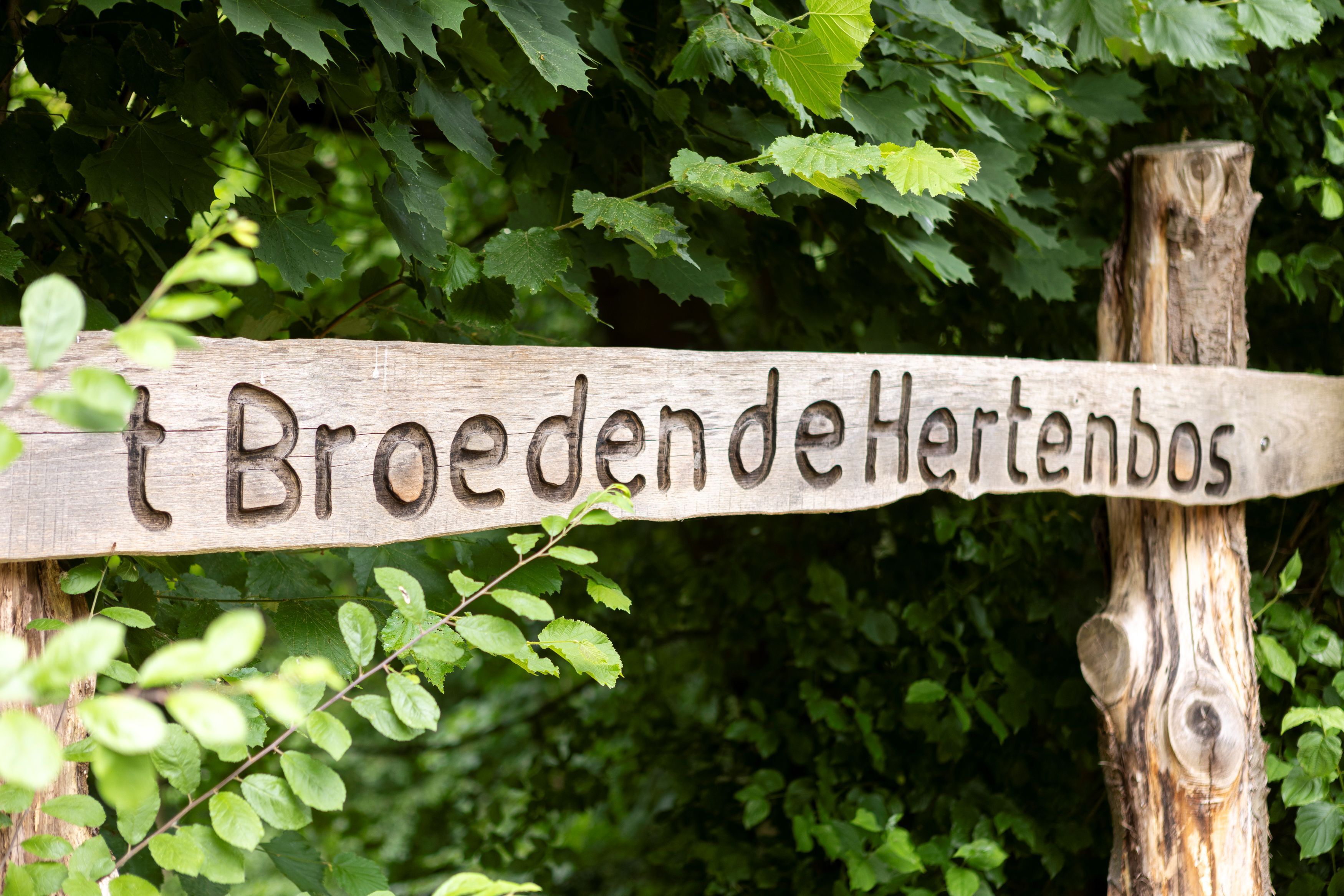 De Hagaard Overijse speelbos
