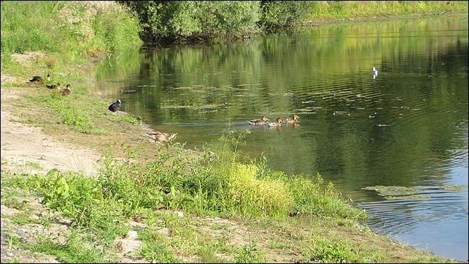 2013_Overmeers: fauna en flora
