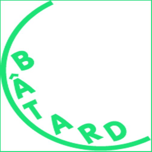 Bâtard Festival 2012 zoekt beginnende kunstenaars