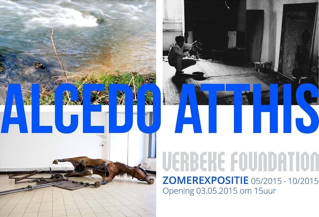 Zomerexpo Alcedo Atthis