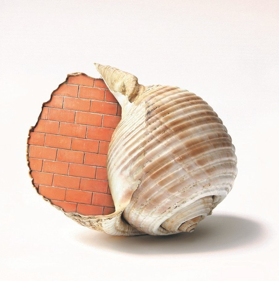 Tentoonstelling / Side walls - Filip Dujardin
