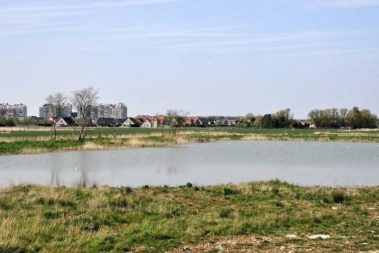 Designing the Future - Ambitious Open Spaces