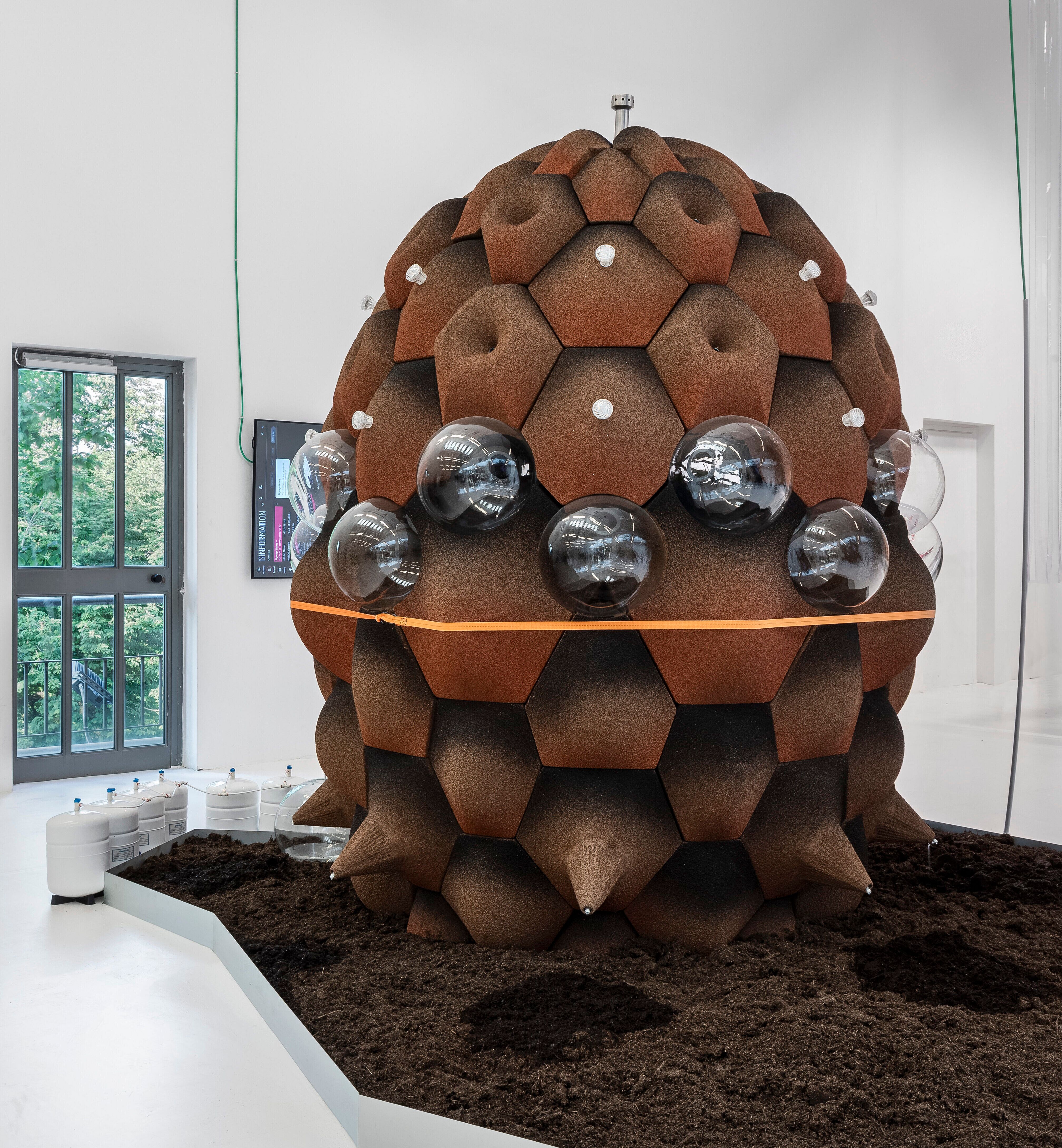 24 We the Bacteria Foto Alessandro Saletta e Agnese Bedini DSL Studio Triennale Milano IMG 9348 Modifica