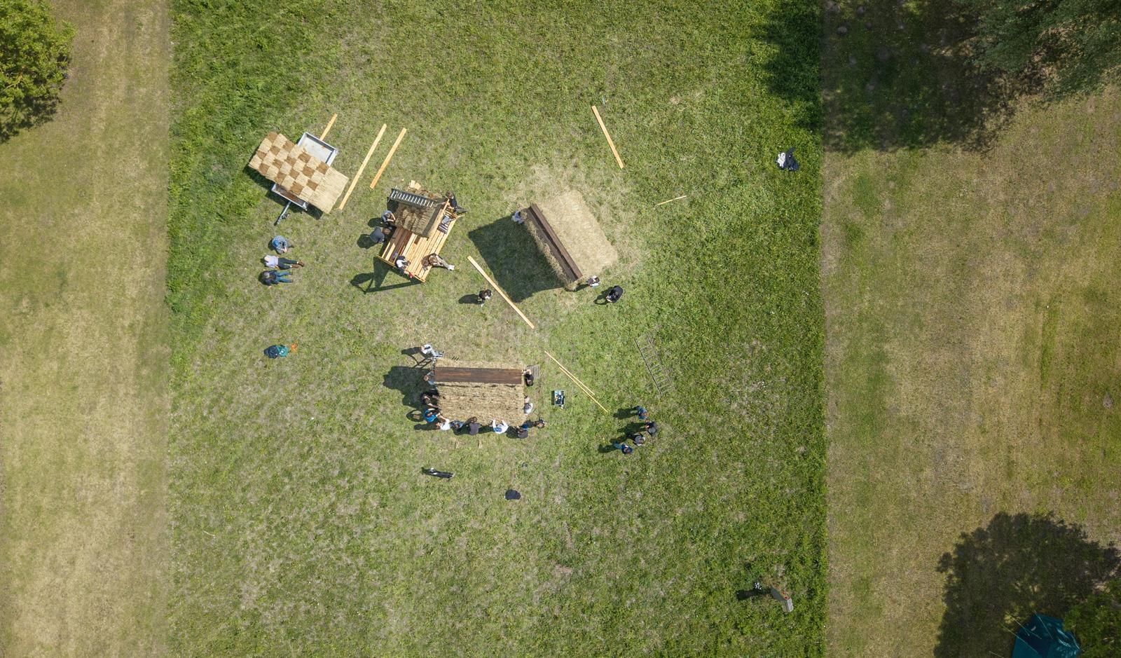 Paludi Malchin Summer School 2025 Malchin explore the potential of wetland plants in regenerative construction thatching Molinia reed