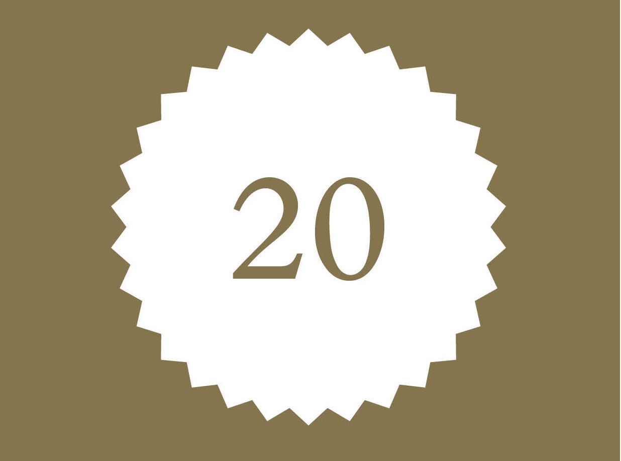V Ai Vlugschrift2022 NL cover