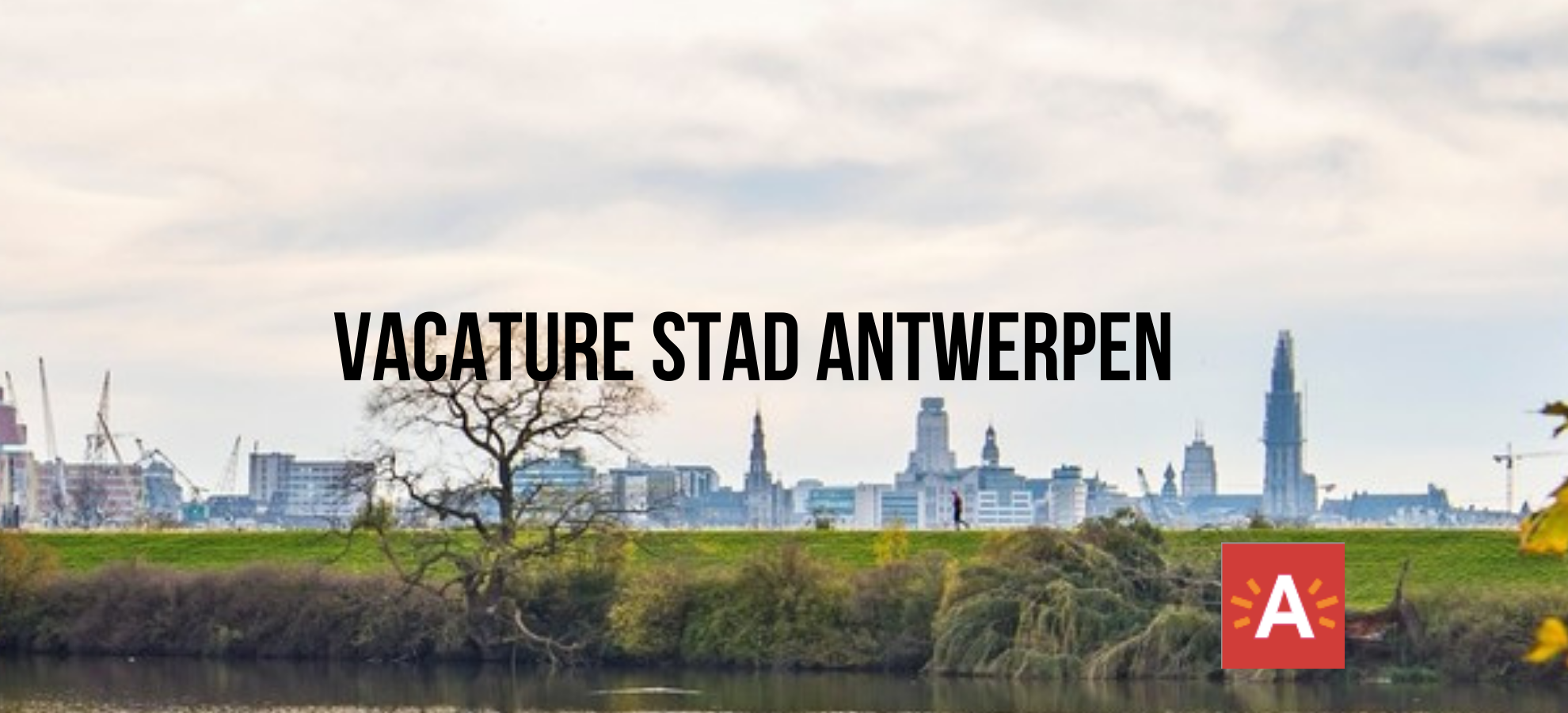 Vacature Stad Antwerpen Bedrijfsdirecteur Stadsontwikkeling 2