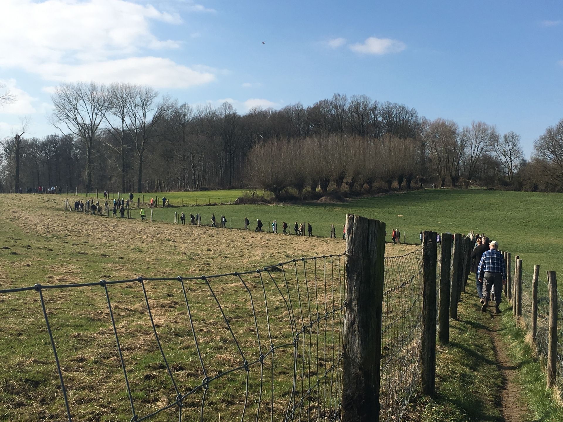 Beeld wandelaars