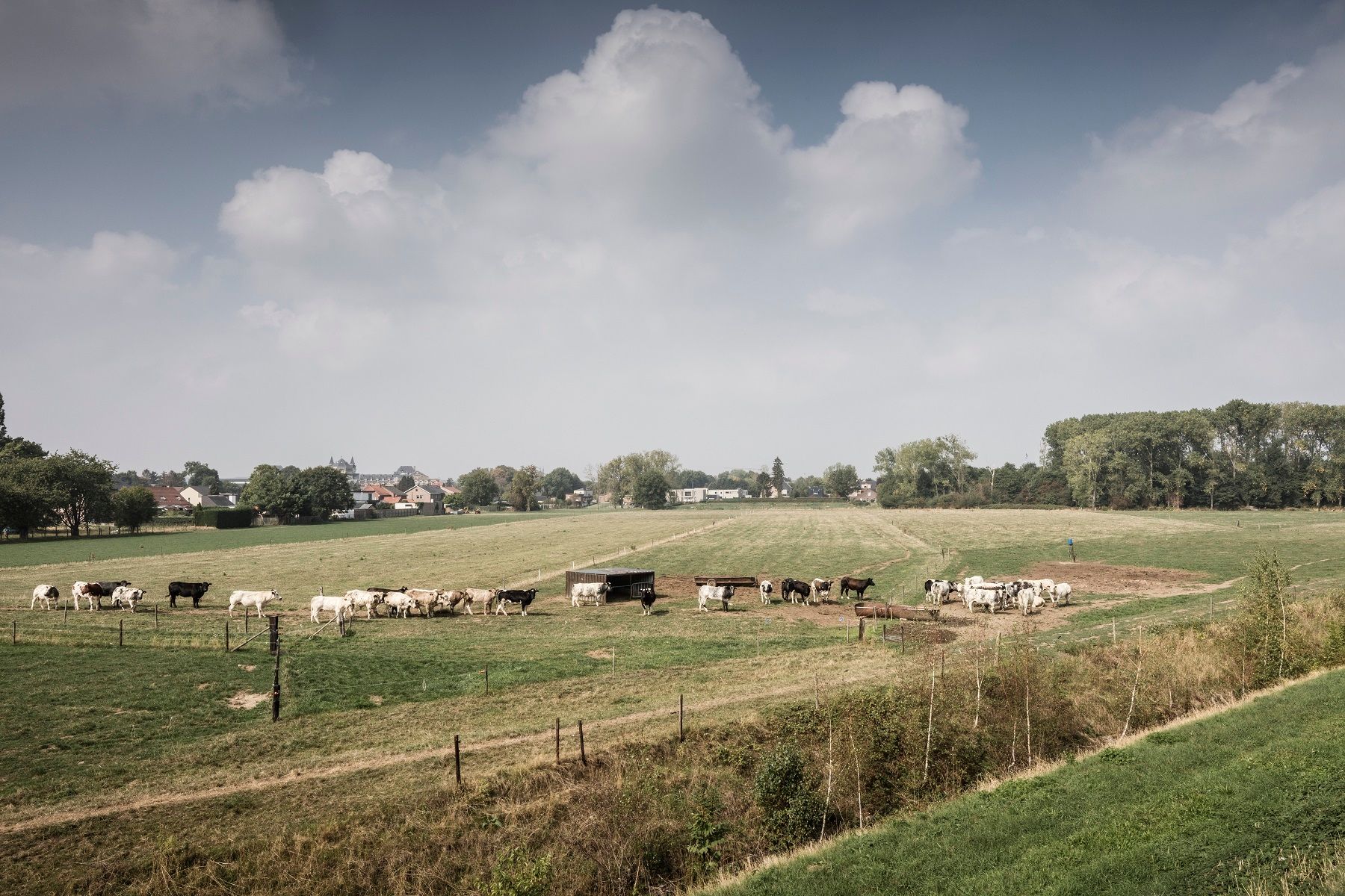 Maasmechelen ppl223