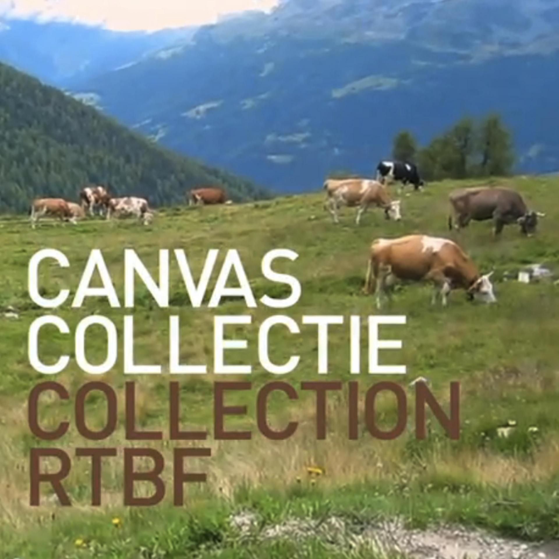 Oproep canvascollectie