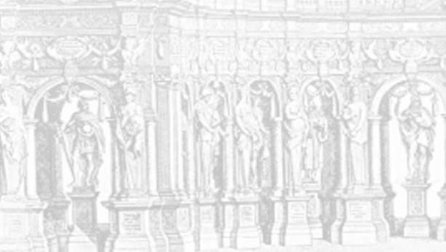 Roma in festa. Staging and Experiencing Festival Culture in Early Modern Rome.