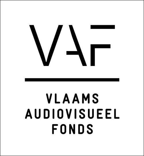 VAF wint Vlaamse Cultuurprijs voor Cultuurmanagement