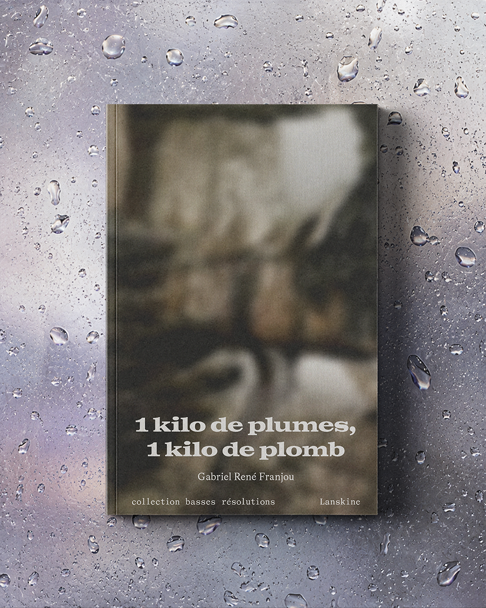 1 kilo plumes 1 kilo de plomb