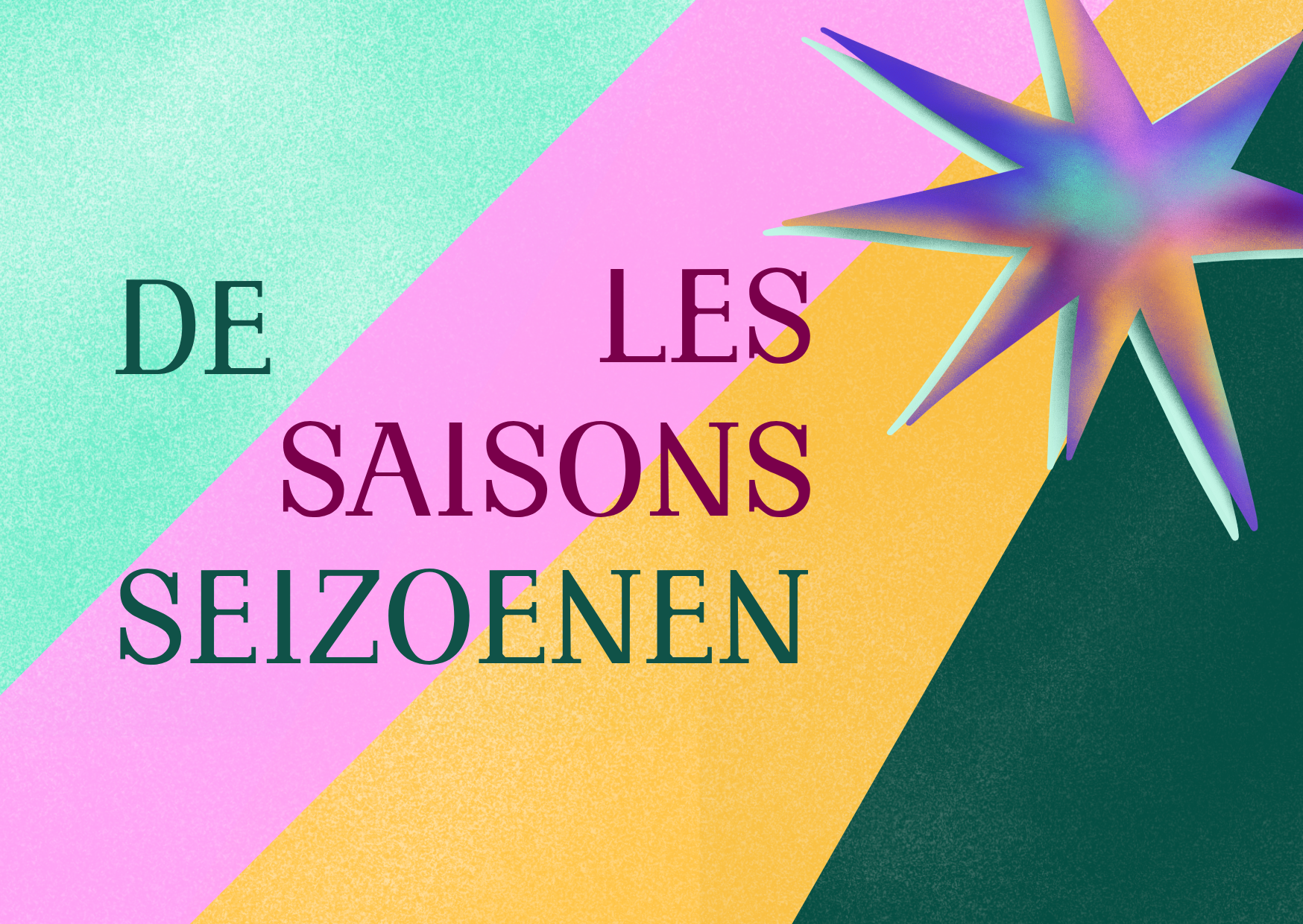 Visuel les saisons de seizoenen