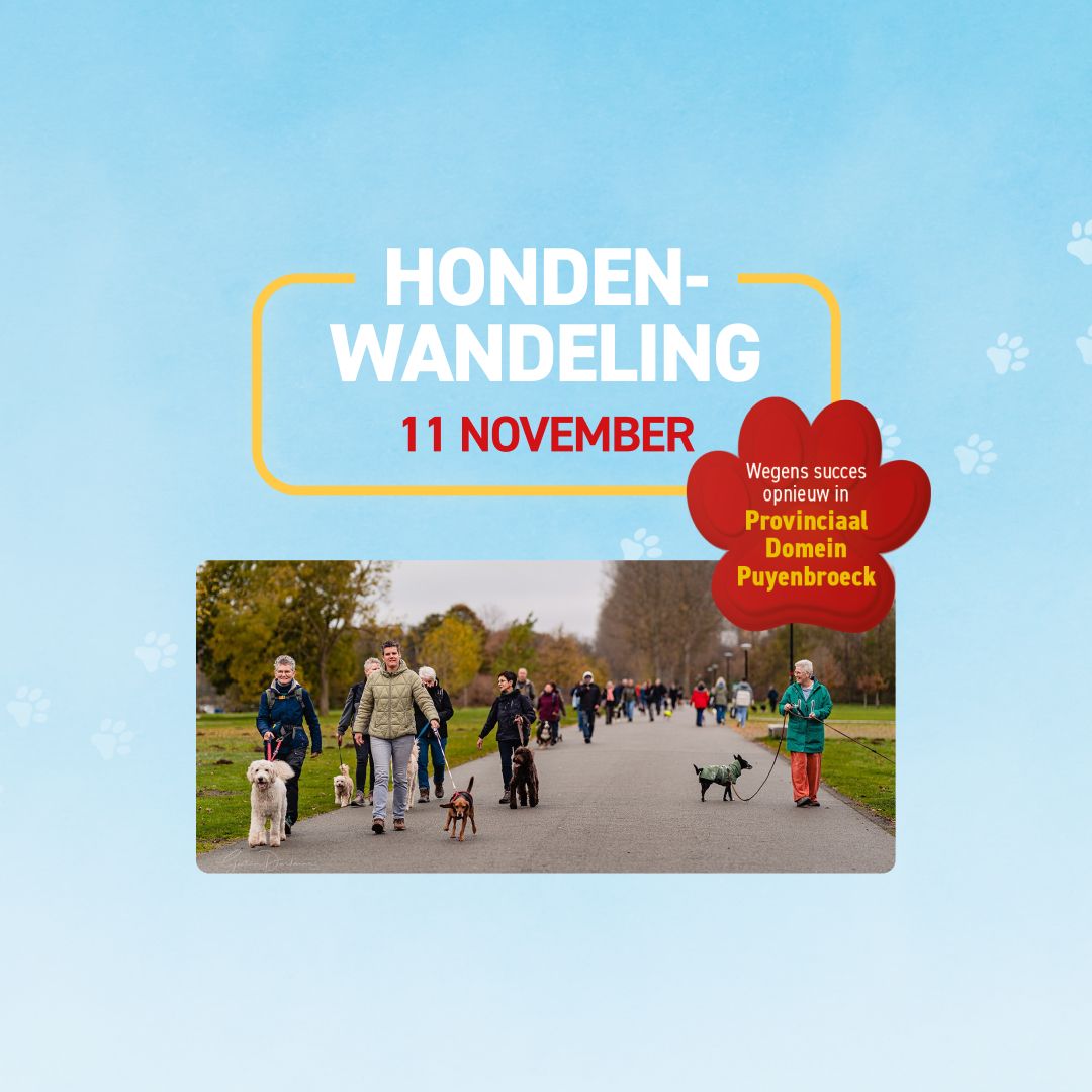 Beeld Eventpagina 1
